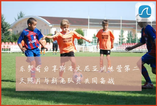 东契奇分享斯洛文尼亚训练营第二天照片与新老队员共同备战