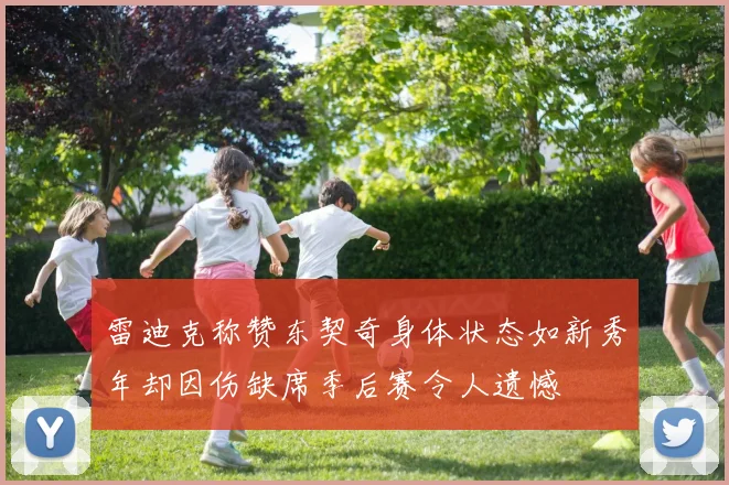 雷迪克称赞东契奇身体状态如新秀年却因伤缺席季后赛令人遗憾