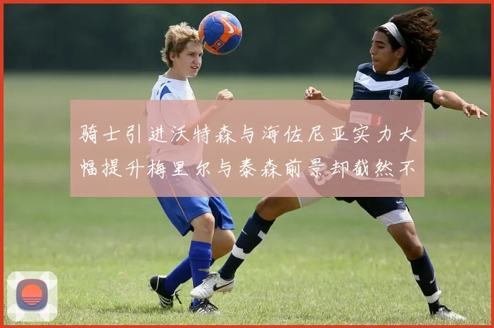 骑士引进沃特森与海佐尼亚实力大幅提升梅里尔与泰森前景却截然不同
